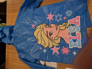 Plaštěnka Frozen