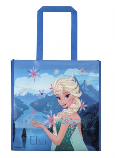 Taska Frozen 1